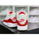 Nike Air Jordan 3